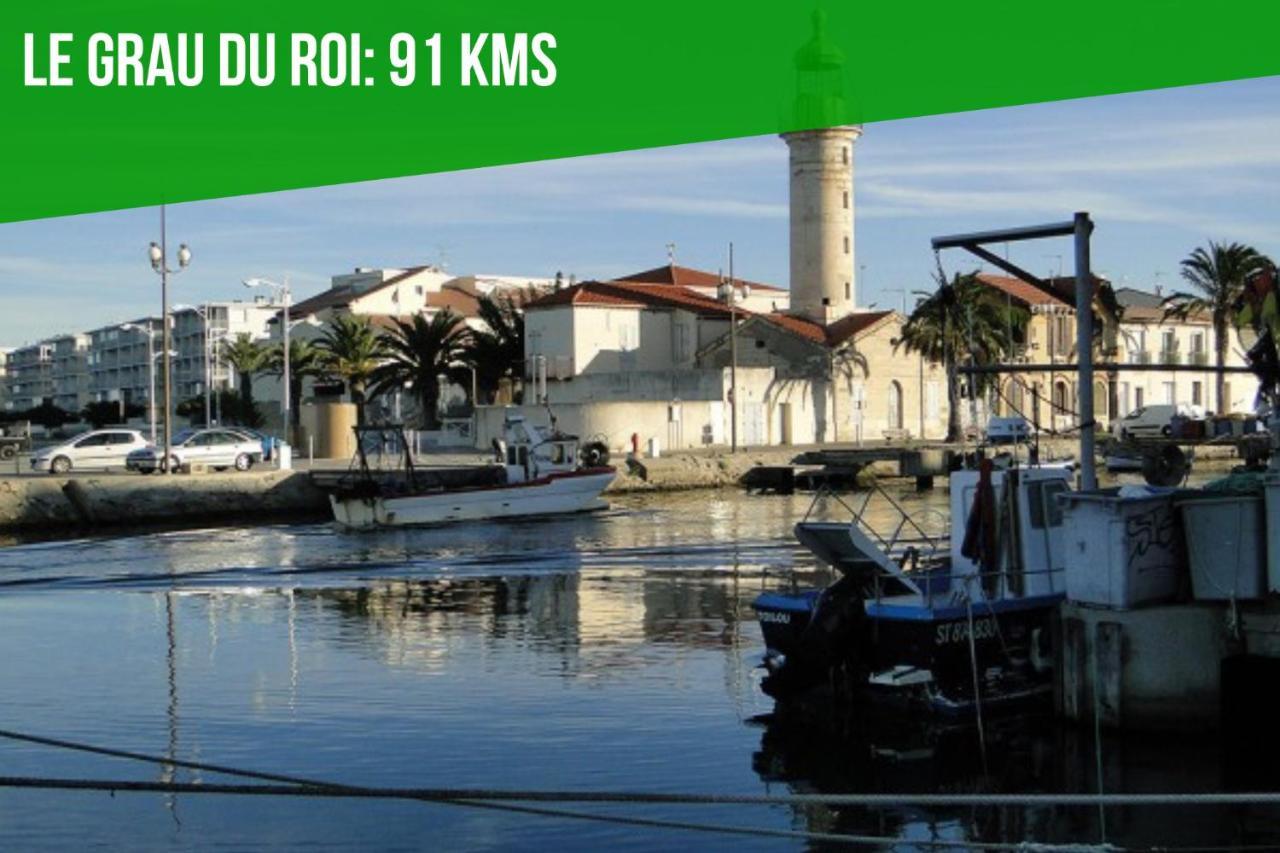 Au Roi Rene - Ac Clim - Wifi Lägenhet Avignon Exteriör bild